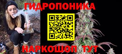 спиды Канаш