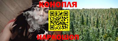 спиды Канаш