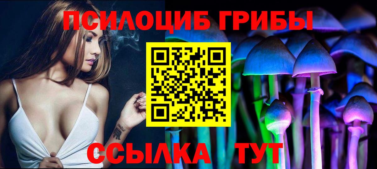 Псилоцибиновые грибы Psilocybine cubensis  Вход с VPN  Юрга  Галлюциногенные грибы прущие грибы 